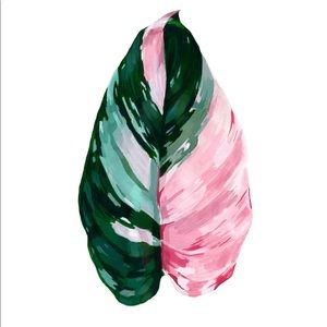 Meet your Posher, Josey